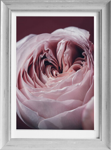 Photography titled "Rose bud (option in…" by Irina Dotter, Original Artwork, Manipulated Photography Mounted on Cardboard