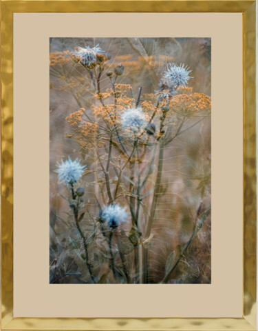 Photography titled "Thistle and Veronica" by Irina Dotter, Original Artwork, Manipulated Photography Mounted on Cardboard
