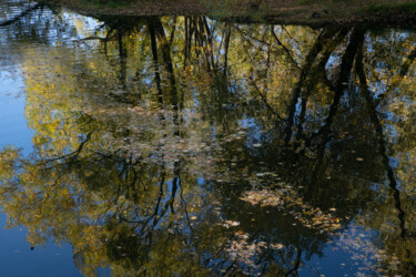 Fotografía titulada "Autumn pond. Lefort…" por Irina Dotter, Obra de arte original, Fotografía digital