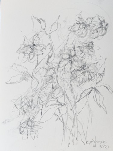 Картина под названием "flower" - Ірина Кіндрицька, Подлинное произведение искусства, Карандаш