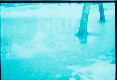 Trees Foots on Iced Lake Berlin Photographie intitulée "Trees Foots on Iced…" par Irina Kromm, Œuvre d'art originale, Photographie argentique