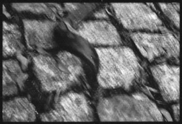 Impression Photographie intitulée "Impression" par Irina Kromm, Œuvre d'art originale, Photographie argentique