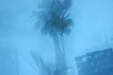 Fotografie mit dem Titel "Flowers in my room" von Irina Kromm, Original-Kunstwerk, Analog Fotografie