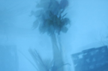 Flowers in my room Photographie intitulée "Flowers in my room" par Irina Kromm, Œuvre d'art originale, Photographie argentique