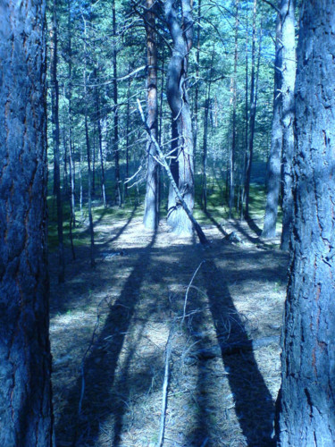 "Symmetry" başlıklı Fotoğraf Irina Kromm tarafından, Orijinal sanat, Dijital Fotoğrafçılık