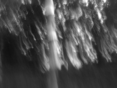 Fotografie getiteld "Fast Tree" door Irina Kromm, Origineel Kunstwerk, Gemanipuleerde fotografie