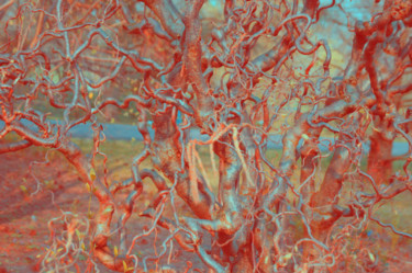 Fotografía titulada "Tree" por Irina Kromm, Obra de arte original, Fotografía digital