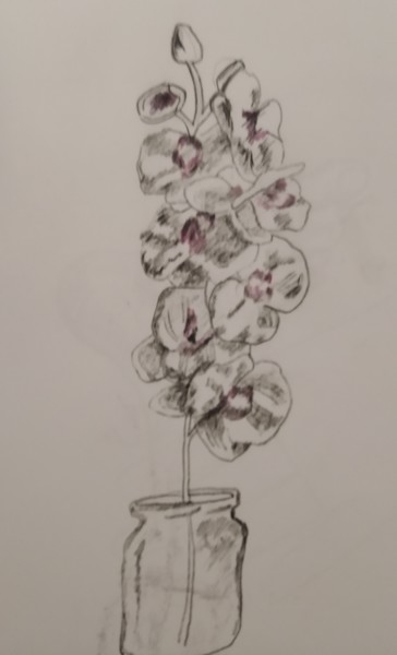 Drawing titled "Orchids" by Irina Kromm, Original Artwork, Graphite