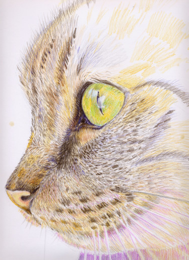 Zeichnungen mit dem Titel "Meow" von Irina Kromm, Original-Kunstwerk, Bleistift