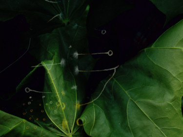 Arts numériques intitulée "Green Fragrance" par Irina Kromm, Œuvre d'art originale, Photo montage