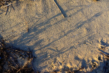 Фотография под названием "Sand or not?" - Irina Kromm, Подлинное произведение искусства, Цифровая фотография