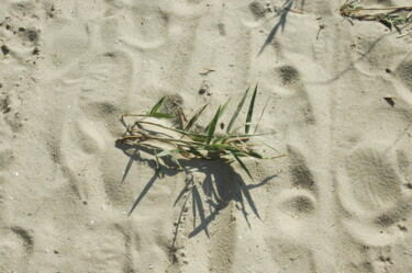 Фотография под названием "Песок" - Irina Kromm, Подлинное произведение искусства, Цифровая фотография
