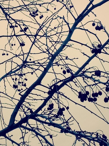 Картина под названием "Может-быть черемуха…" - Irina Kromm, Подлинное произведение искусства, Манипулированная фотография Ус…
