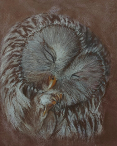 Painting titled "Сова, owl" by Irina Nikulina, Original Artwork, Pastel