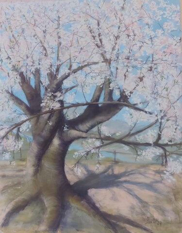 Peinture intitulée "Весна. Сакура.Sprin…" par Irina Nikulina, Œuvre d'art originale, Pastel