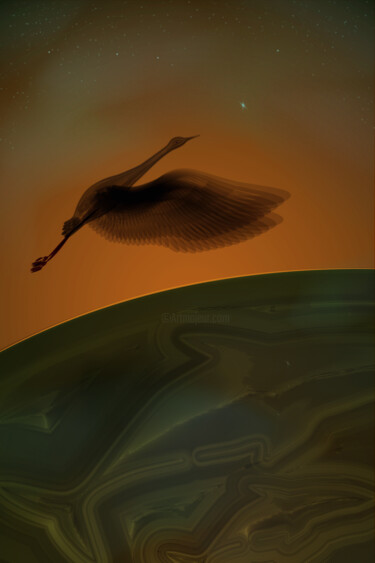 Arts numériques intitulée "Alone crane over oc…" par Irina Ryzkova (Ira Go), Œuvre d'art originale, Travail numérique 2D