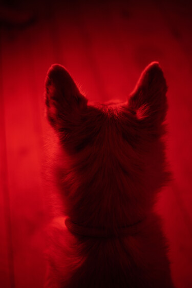 Photographie intitulée "Red Gora" par Irina Ten, Œuvre d'art originale, Photographie numérique