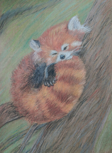 Картина под названием "Red Panda #artistsu…" - Irina Zaitseva, Подлинное произведение искусства, Пастель