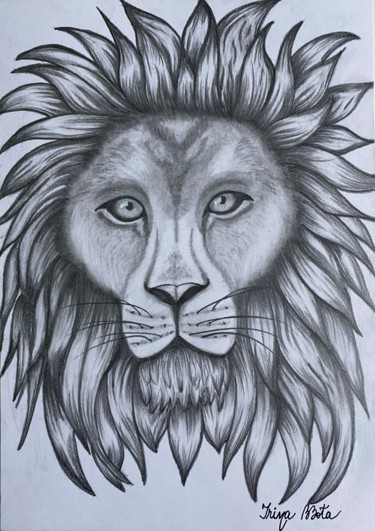 Drawing titled "Lion head in pencil" by Irina Bbota, Original Artwork, Pencil