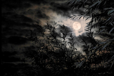 Fotografia zatytułowany „Moon in the night” autorstwa Irina Bbota, Oryginalna praca, Fotografia cyfrowa