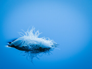 Fotografie mit dem Titel "Feather on water" von Irina Bbota, Original-Kunstwerk, Digitale Fotografie