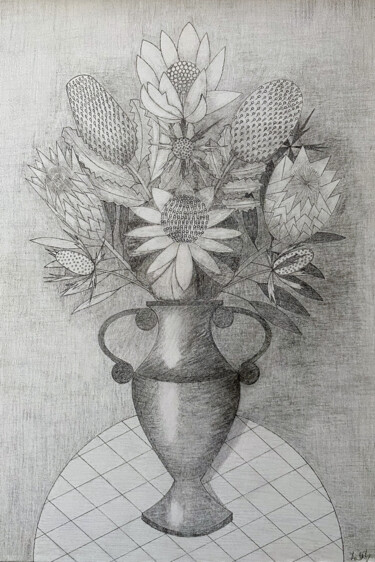 Zeichnungen mit dem Titel "Waratah, Banksia, P…" von Irina Rabeja, Original-Kunstwerk, Bleistift
