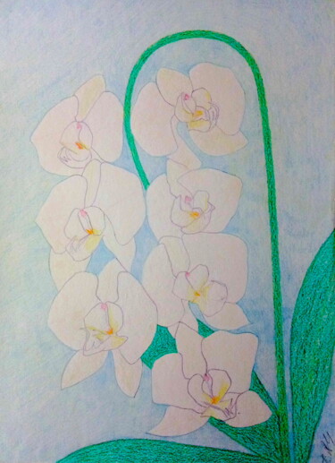 Painting titled "White Orchids" by Irina Rabeja, Original Artwork, Pigments