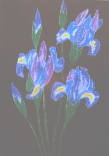 Malerei mit dem Titel "Irises on Black" von Irina Rabeja, Original-Kunstwerk, Pastell
