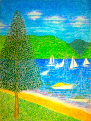 Malarstwo zatytułowany „Snapperman Beach” autorstwa Irina Rabeja, Oryginalna praca, Pastel Zamontowany na Drewniana rama nos…