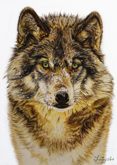 Peinture intitulée "Wolf Dog Husky Coyo…" par Irinjoyart, Œuvre d'art originale, Aquarelle