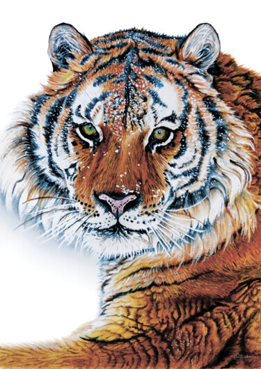 Pittura intitolato "Tiger Big cat water…" da Irinjoyart, Opera d'arte originale, Acquarello