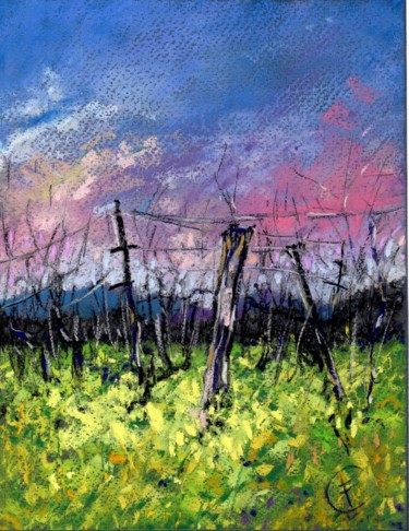 Painting titled "DRY CREEK VALLEY" by Fabrizio Cancelliere, Original Artwork, Pastel