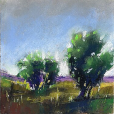 Painting titled "ENTRERIOS, ARGENTINA" by Fabrizio Cancelliere, Original Artwork, Pastel