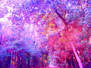 Photography titled "Radioactive forest" by Irvin Grassi, Original Artwork, Digital Photography