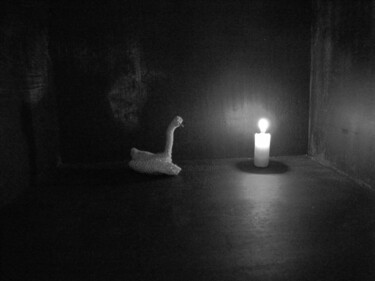 Fotografie mit dem Titel "Swan alone ( Dark r…" von Irvin Grassi, Original-Kunstwerk, Digitale Fotografie