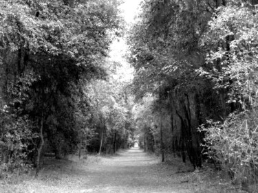 Fotografia intitulada "The path" por Irvin Grassi, Obras de arte originais, Fotografia digital