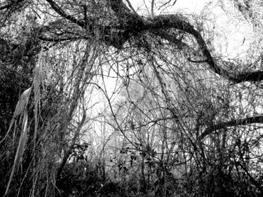 Photographie intitulée "End of path" par Irvin Grassi, Œuvre d'art originale, Photographie numérique