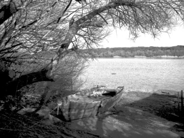 Photographie intitulée "Swampy secrets" par Irvin Grassi, Œuvre d'art originale, Photographie numérique