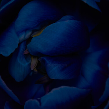 Photographie intitulée "Blueness" par Iryna Domashenko, Œuvre d'art originale, Photographie numérique