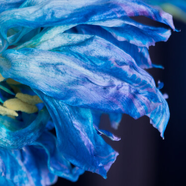 Фотография под названием "turquoise" - Iryna Domashenko, Подлинное произведение искусства, Не манипулируемая фотография Уста…