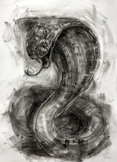 Disegno intitolato "Cobra" da Iryna Kopyrina, Opera d'arte originale, Carbone