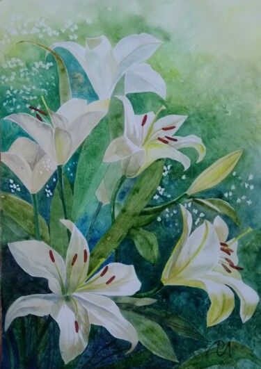 Painting titled "White stars of summ…" by Iryna Makhovska, Original Artwork, Watercolor