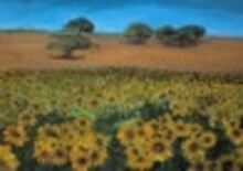 Pintura titulada "Campo de girassois" por Isabel Alfarrobinha, Obra de arte original