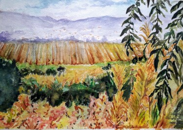 Painting titled "Vinhas do Valle de…" by Isabel Alfarrobinha, Original Artwork, Watercolor