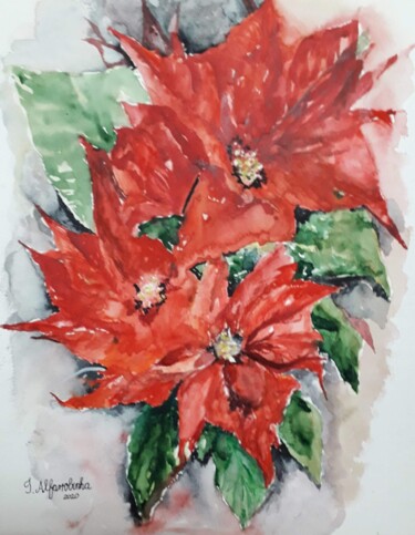 Painting titled "Poinsettia" by Isabel Alfarrobinha, Original Artwork, Watercolor