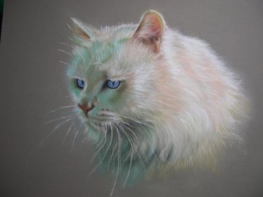 Peinture intitulée "Chat blanc aux yeux…" par Isabelle Rombi, Œuvre d'art originale, Pastel