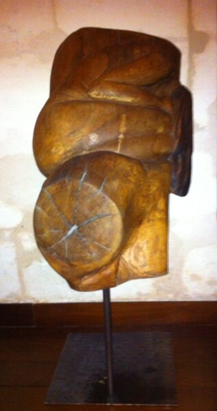 Sculpture titled "La Cascade" by Isabelle Berté (ib), Original Artwork, Wood