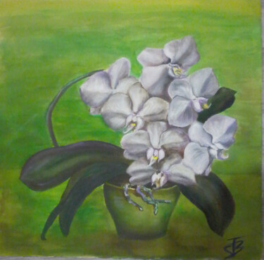 Dessin intitulée "Orchidées" par Isabelle Blanc, Œuvre d'art originale, Encre