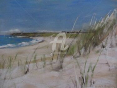 Peinture intitulée "Les herbes plage du…" par Isabelle Douzamy, Œuvre d'art originale, Pastel