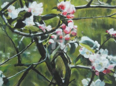 Peinture intitulée "Fleurs de pommier" par Isabelle Douzamy, Œuvre d'art originale, Pastel